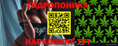 MDMA Бийск
