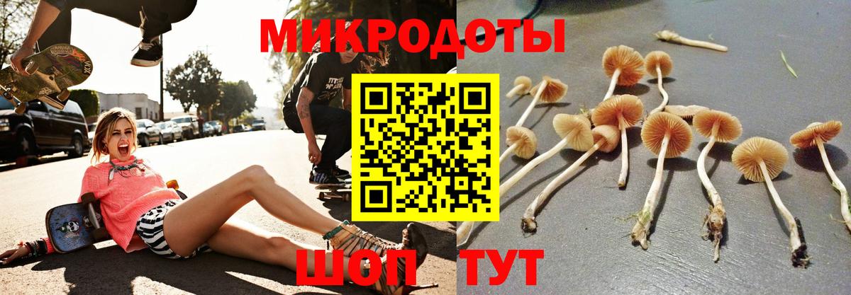 Псилоцибиновые грибы Psilocybine cubensis  Псилоцибиновые грибы Magic Shrooms  Вход с VPN  Камышлов 